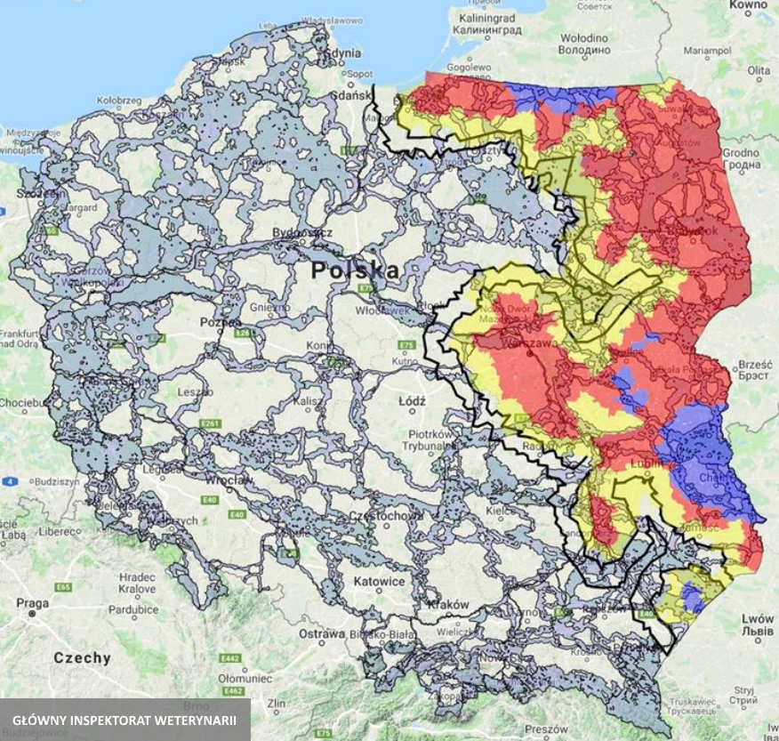 odstrzal-skoordynowany.jpg